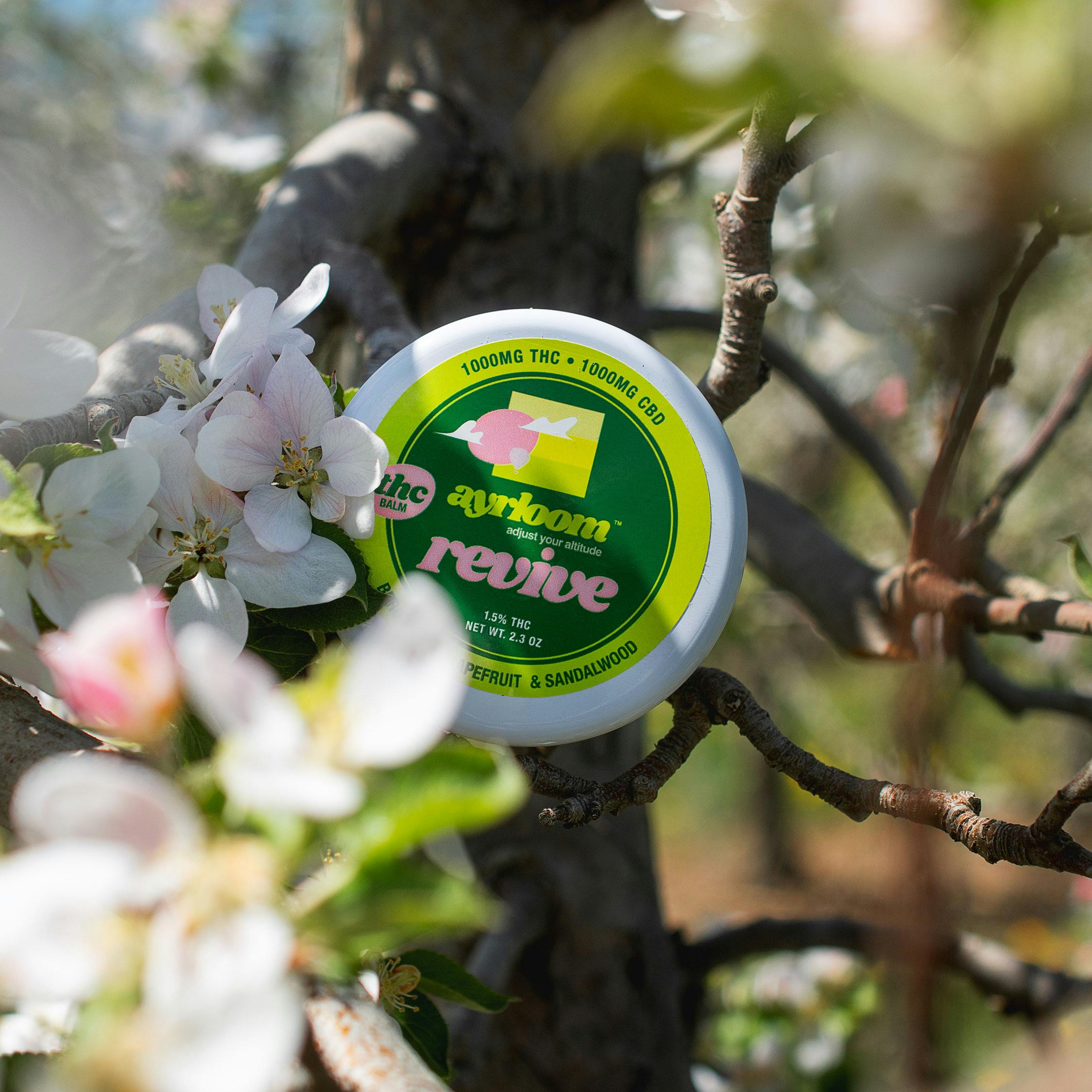 Photo of revive THC balm