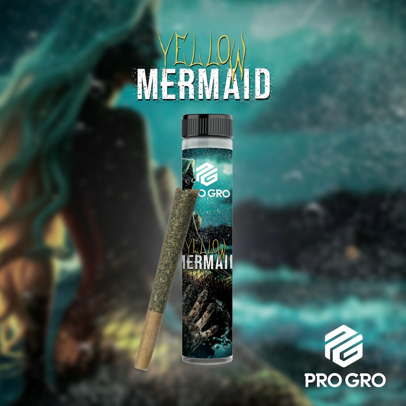 Yellow Mermaid 1g Pre-Roll