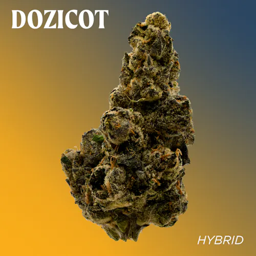 Deli Style | Dozicot – Hybrid-active