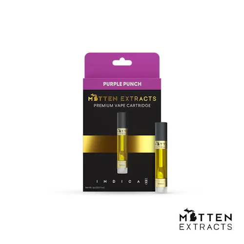 Purple Punch Cartridge | 1G-active