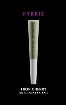 Trop Cherry | .5g | Pre roll | Hybrid | House of Sacci