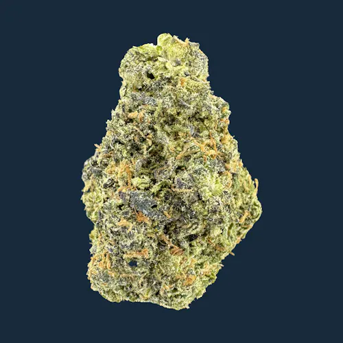 Tarot Tokes | Biscotti Flower-1