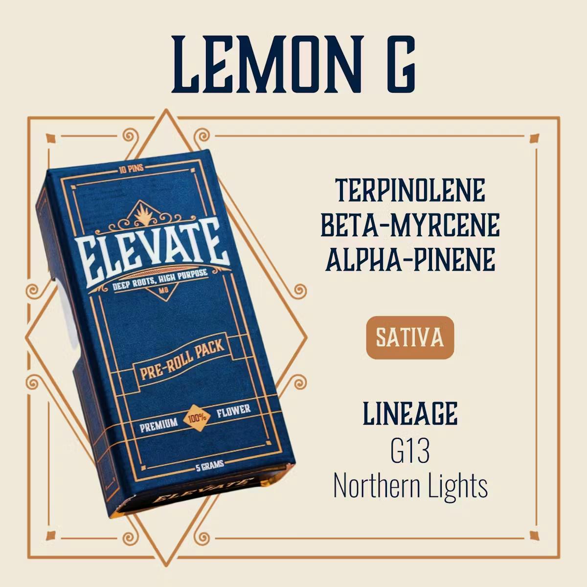 Elevate | Local Cannabis Co. - Kansas City