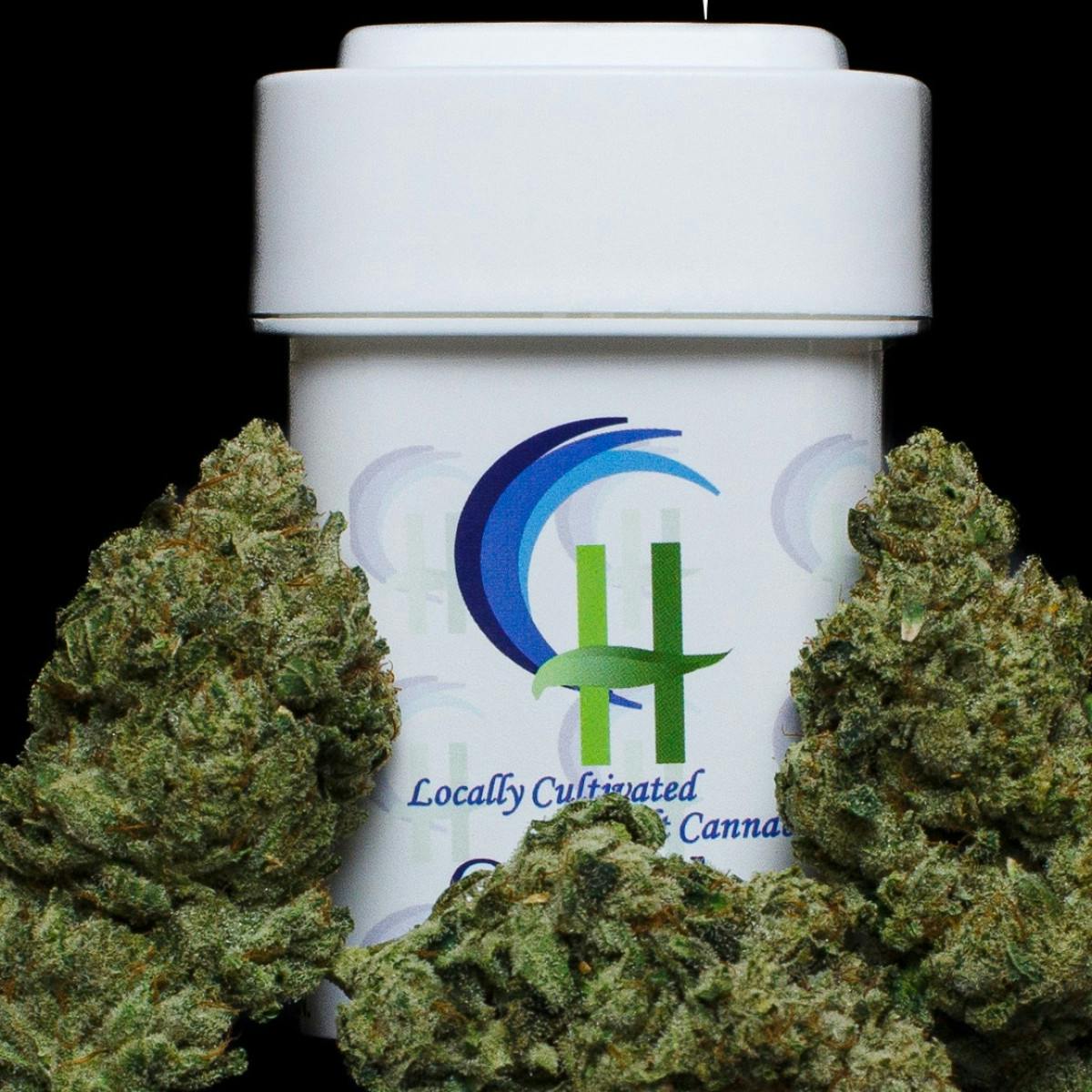 Photo of Coastal Healing GG#4 3.5g