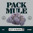 Mule Let's *WARNING HIGH THC*0144