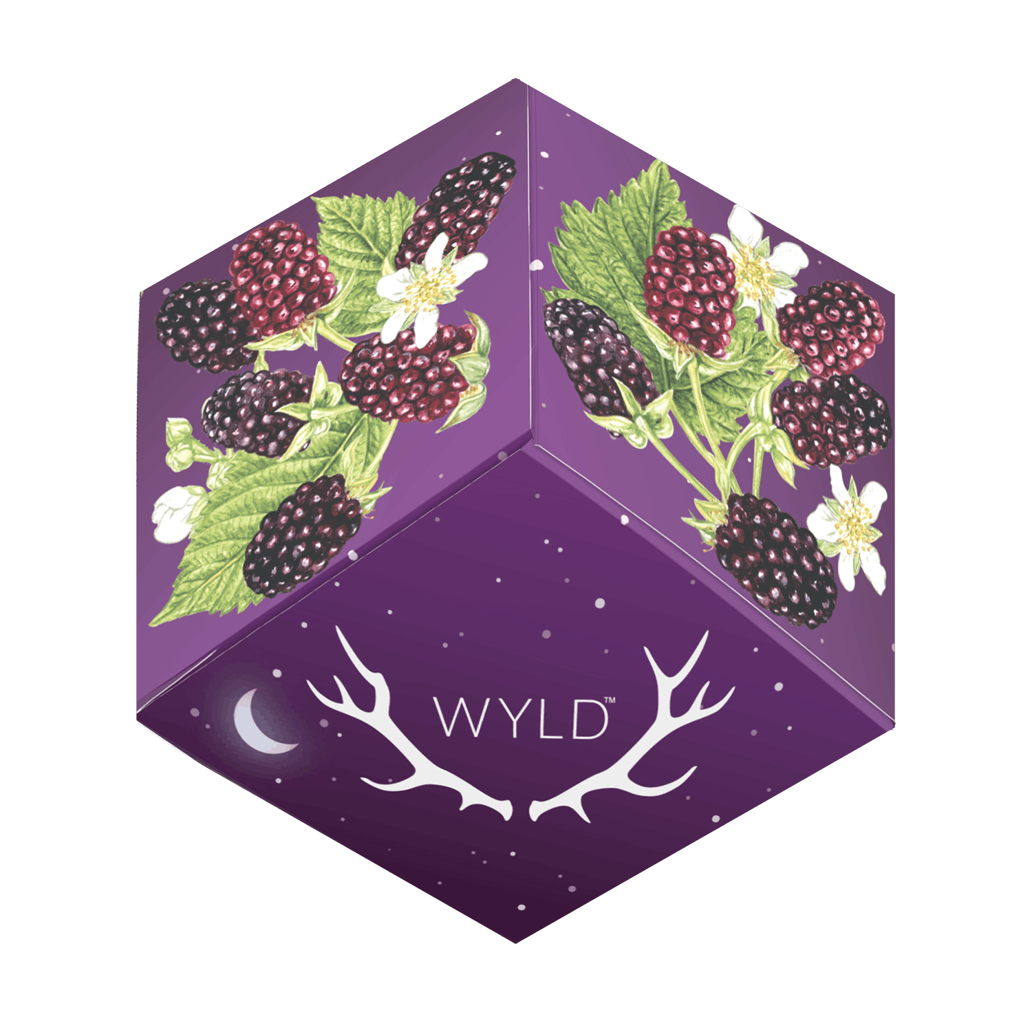 Wyld | THC:CBD:CBN Boysenberry Indica Gummies-1
