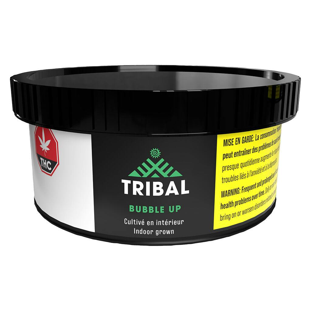 Tribal - bubble up