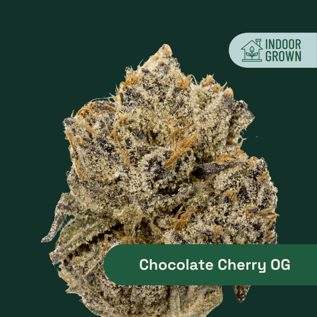 Chocolate Cherry OG | Flower | 3.5g by | Buy Online | Treehouse ...