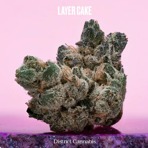 Layer Cake Flower | 3.5g-2