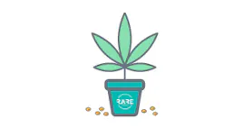 Seeds category image