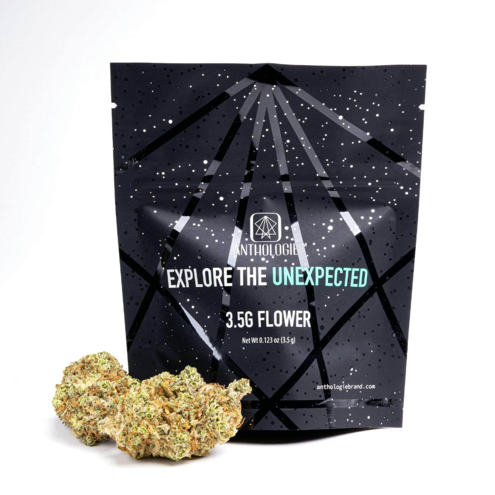 Health Circle - Rockland