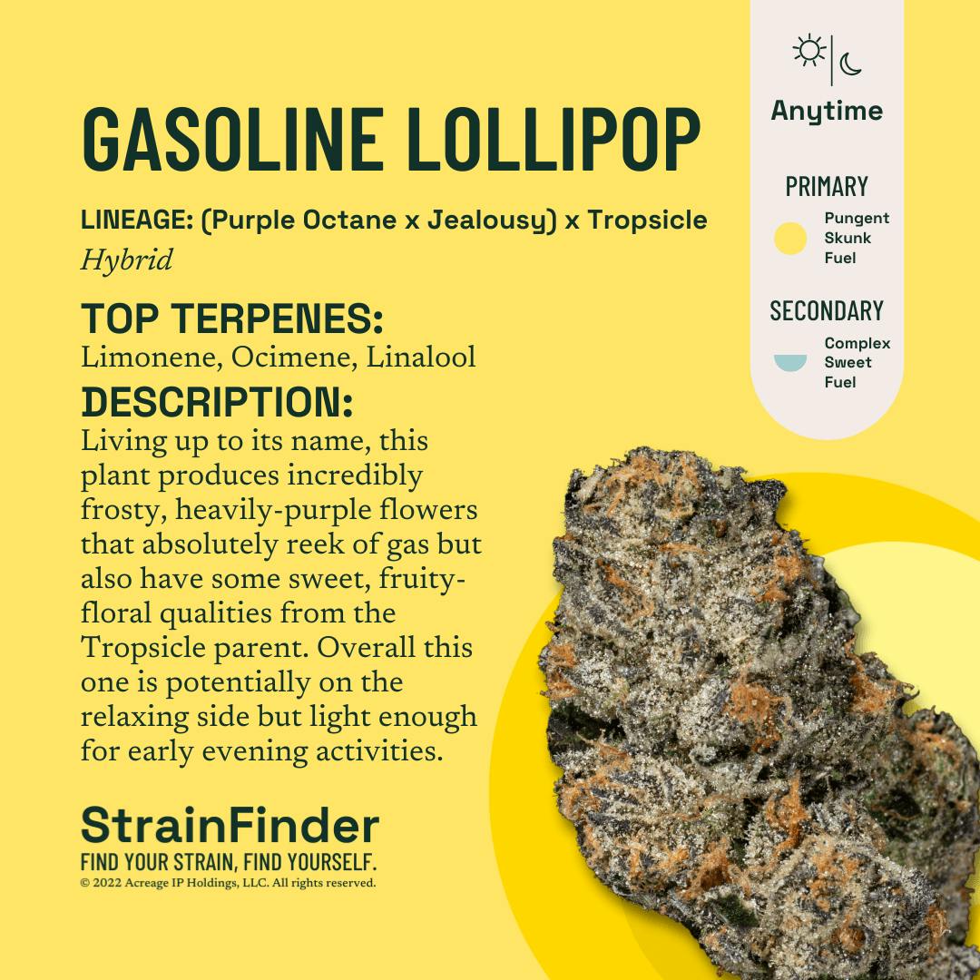 Gasoline Lollipop | Flower | 3.5g by | Buy Online | Treehouse