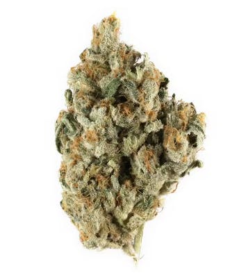 Product Therapy | Wheres My Bike | Preroll