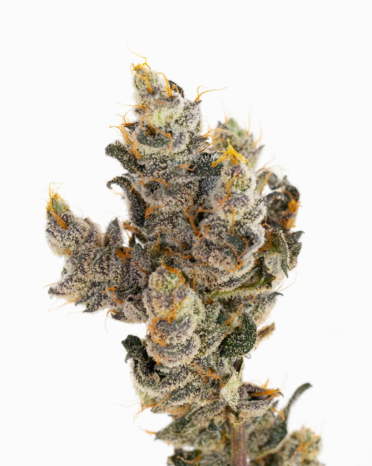 Image of Cotton Candy Cookies