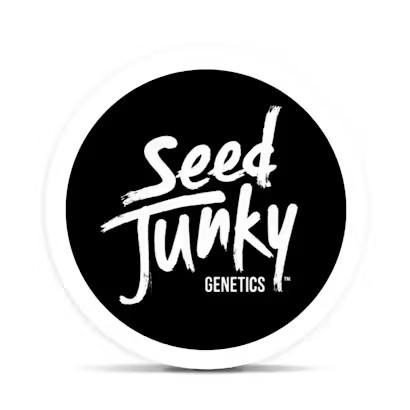 Scented Marker Pre-Roll Hybrid by Seed Junky – Pre-Rolls at Gatsby Cannabis