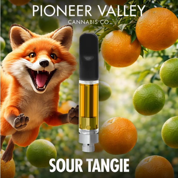Pioneer Valley - Vape Cart 1g - Sour Tangie