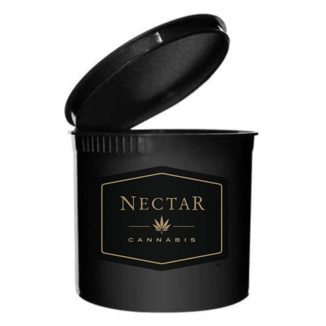 老舗　nectar フィッシュ フィッシュ 老舗　nectar