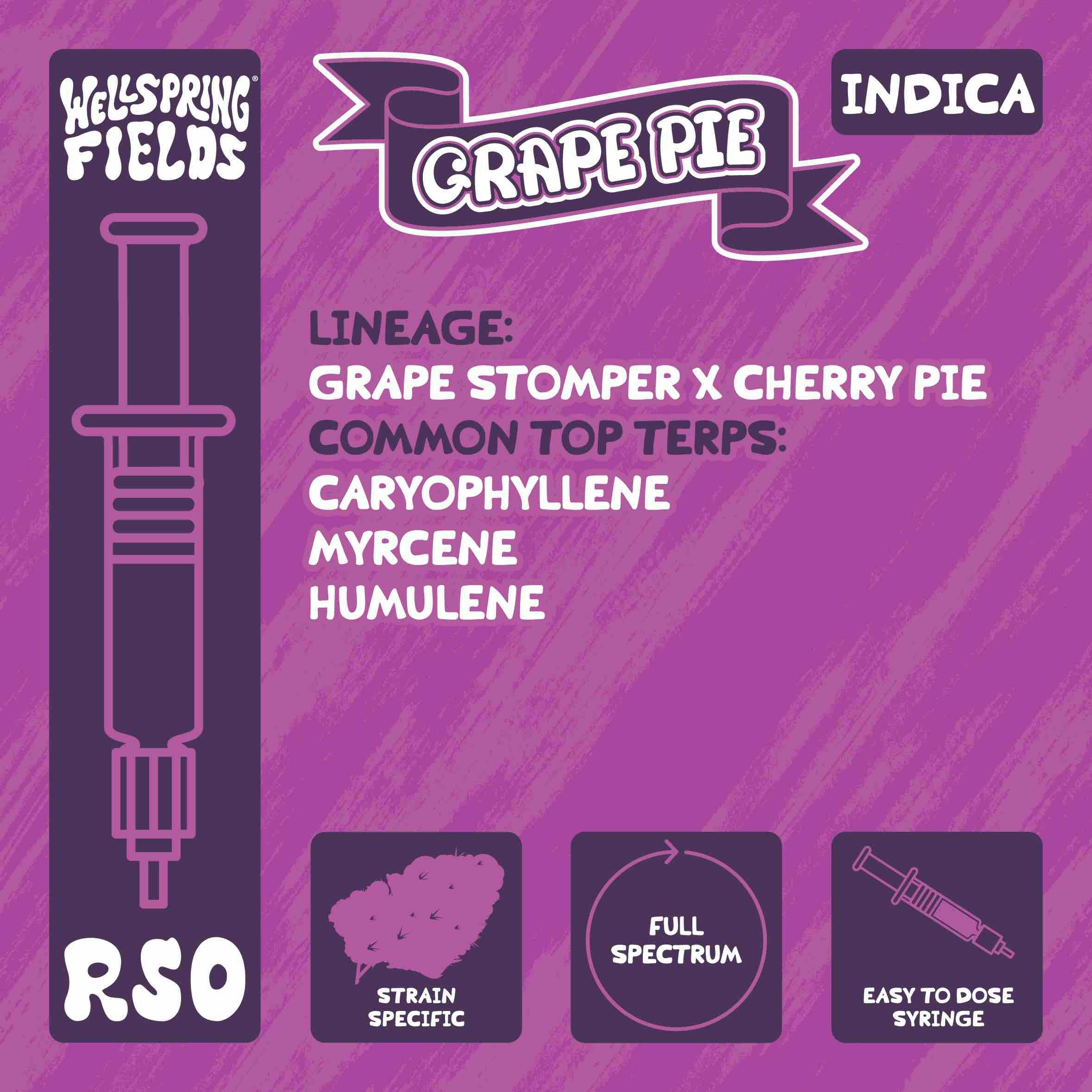 Photo of Grape Pie RSO Syringe