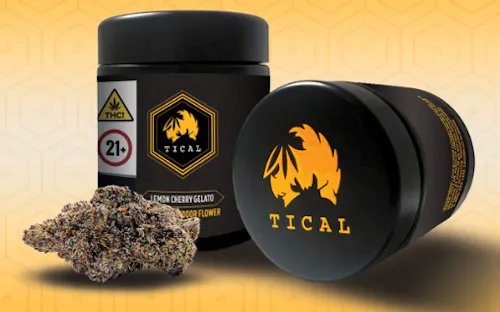 TICAL | INDOOR FLOWER | MEDELLIN JAR | 3.5G-active