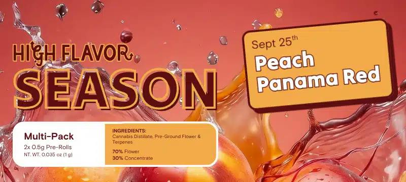 High Flavor Peach Panama Red Infused Pre-Rolls Available 9/25