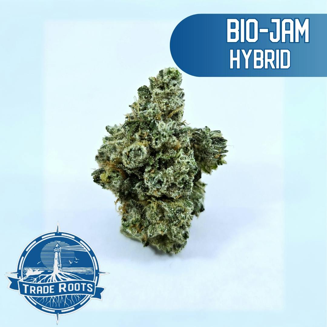 Shop Cannabis in Wareham, MA | Trade Roots