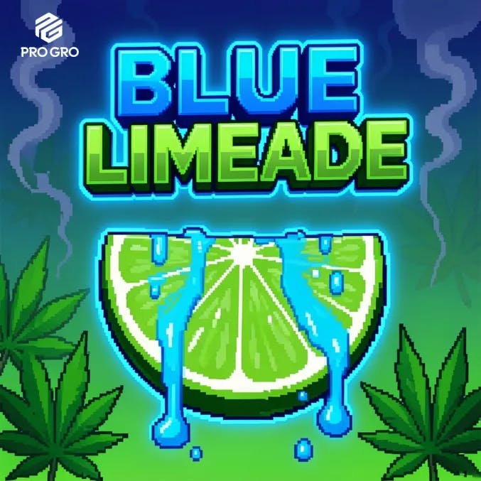 DELI - Pro Gro - Blue Limeade