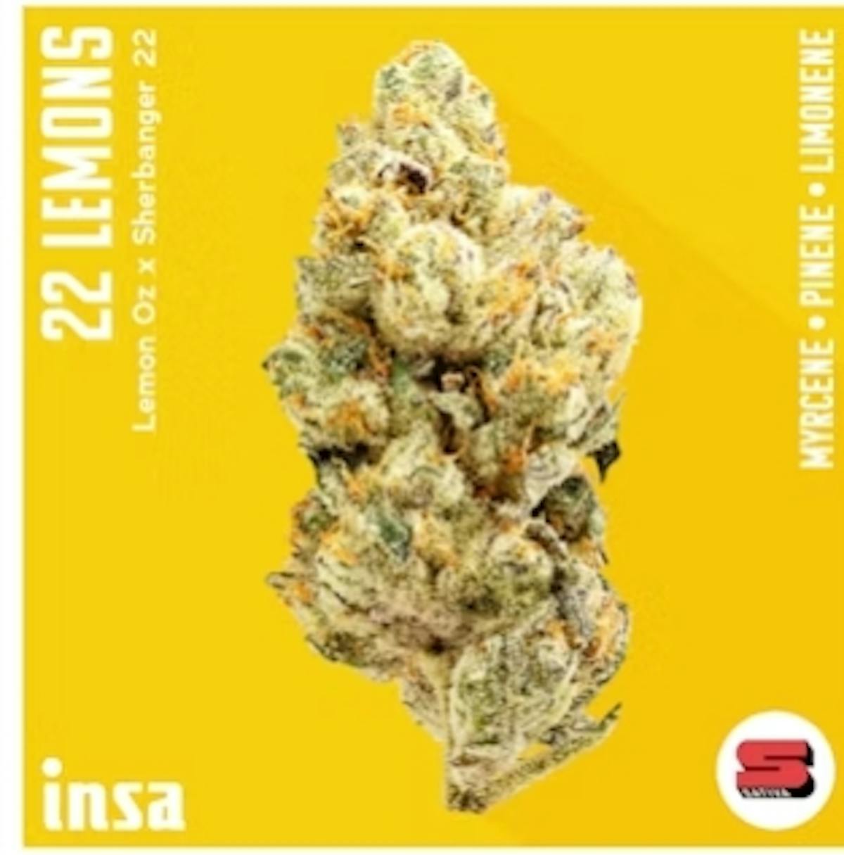Photo of 22 Lemons 28g Flower INSA