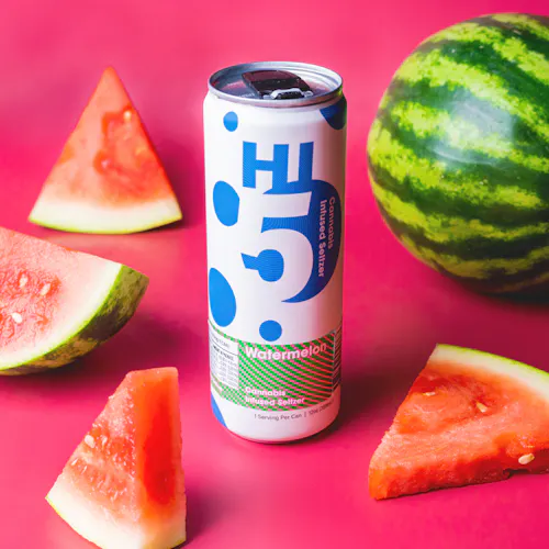 Watermelon | Infused Seltzer 5mg 4pk-active