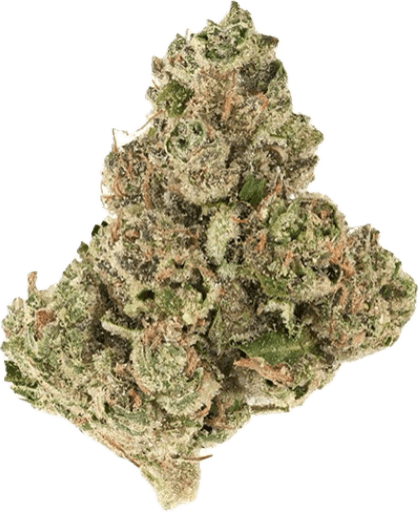 Product: Harbor Farmz | Sour Diesel | Sativa | Bulk Flower | Platinum