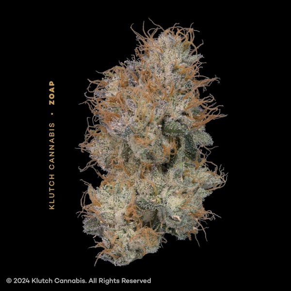 Shady Lemons 14.15g Flower | CERTIFIED |