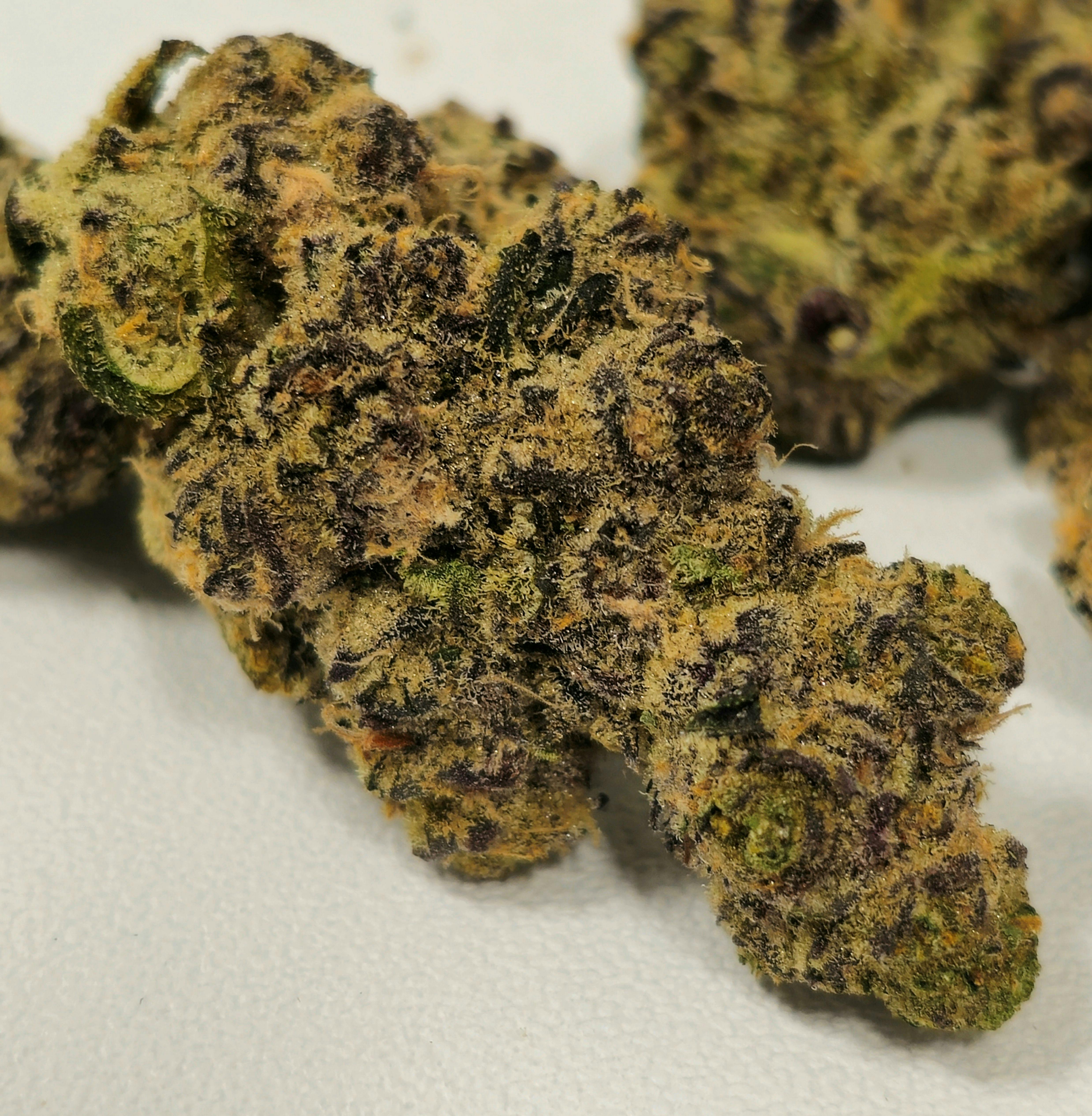 Holyoke Cannabis Dispensary - Holyoke