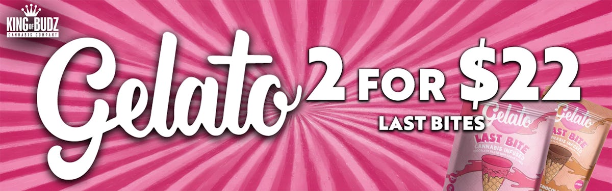 Gelato Last Bite Waffle Cones 2/$22