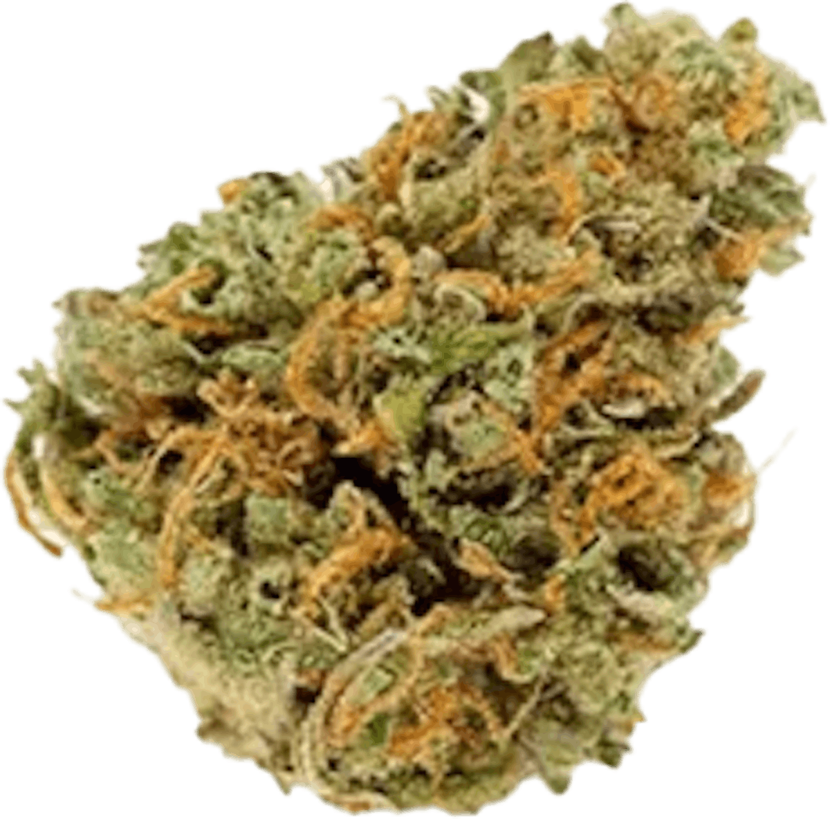 Photo of NEA | Zsweet Inzanity | Flower (H)