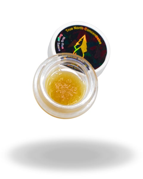 Product: True North Concentrates | Larry OG Nug Run Sugar Sauce | 3.5g