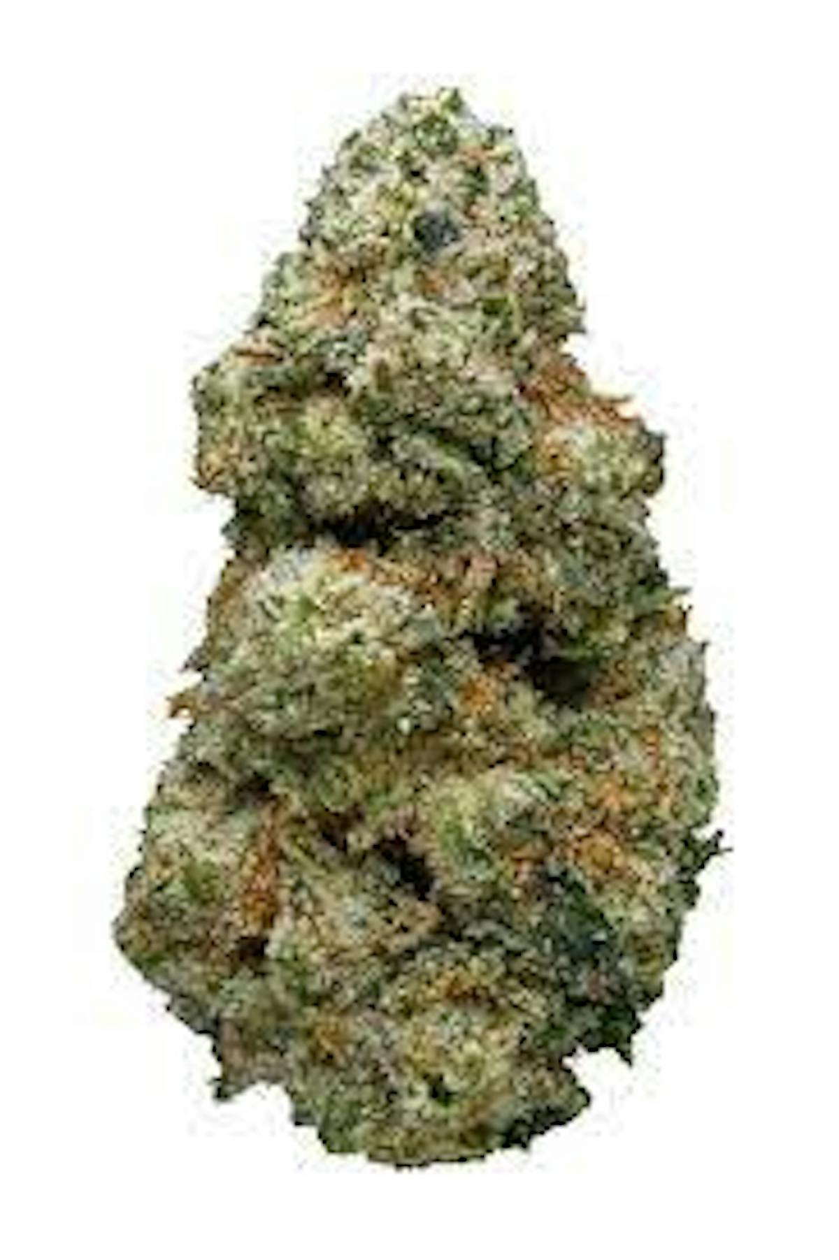 Image of Alaskan Thunder F@#k | 3.5g