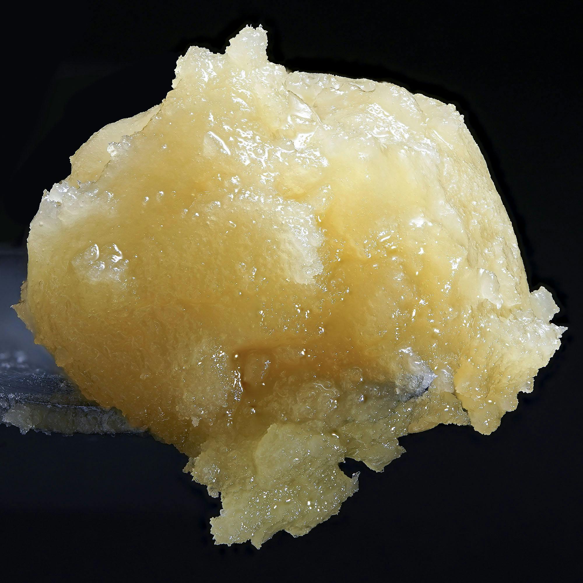 Wojo - 1g Live Rosin - Bukbuk Bobuk