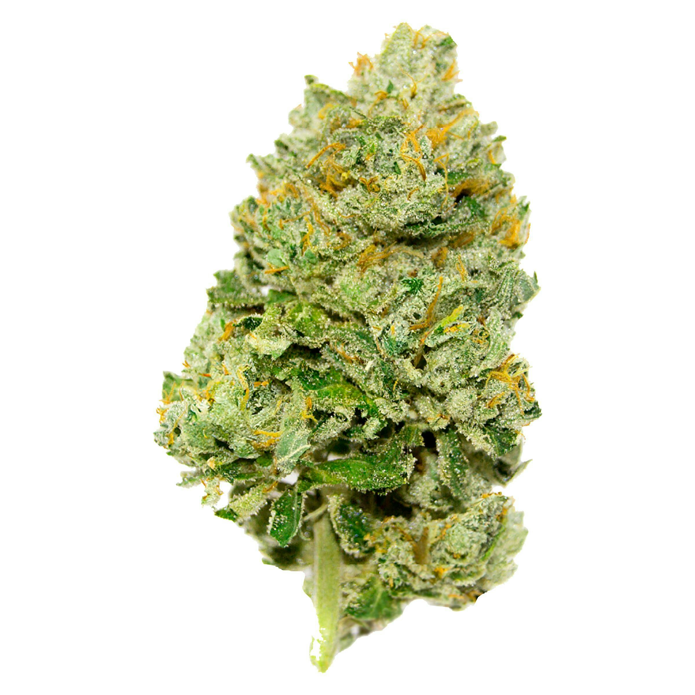 CRD Dark （CBT23.1%（cannabinoid81.7%）5g Buzz'd OG High CBG Indica 7g Cannabis Strain Online: Lowest