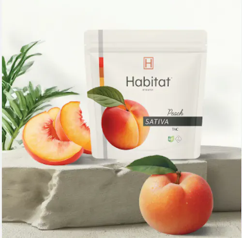 Habitat | Peach | Gummies | 4ct-active