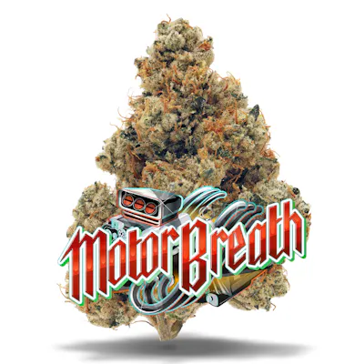 Motor Breath - Premium Flower