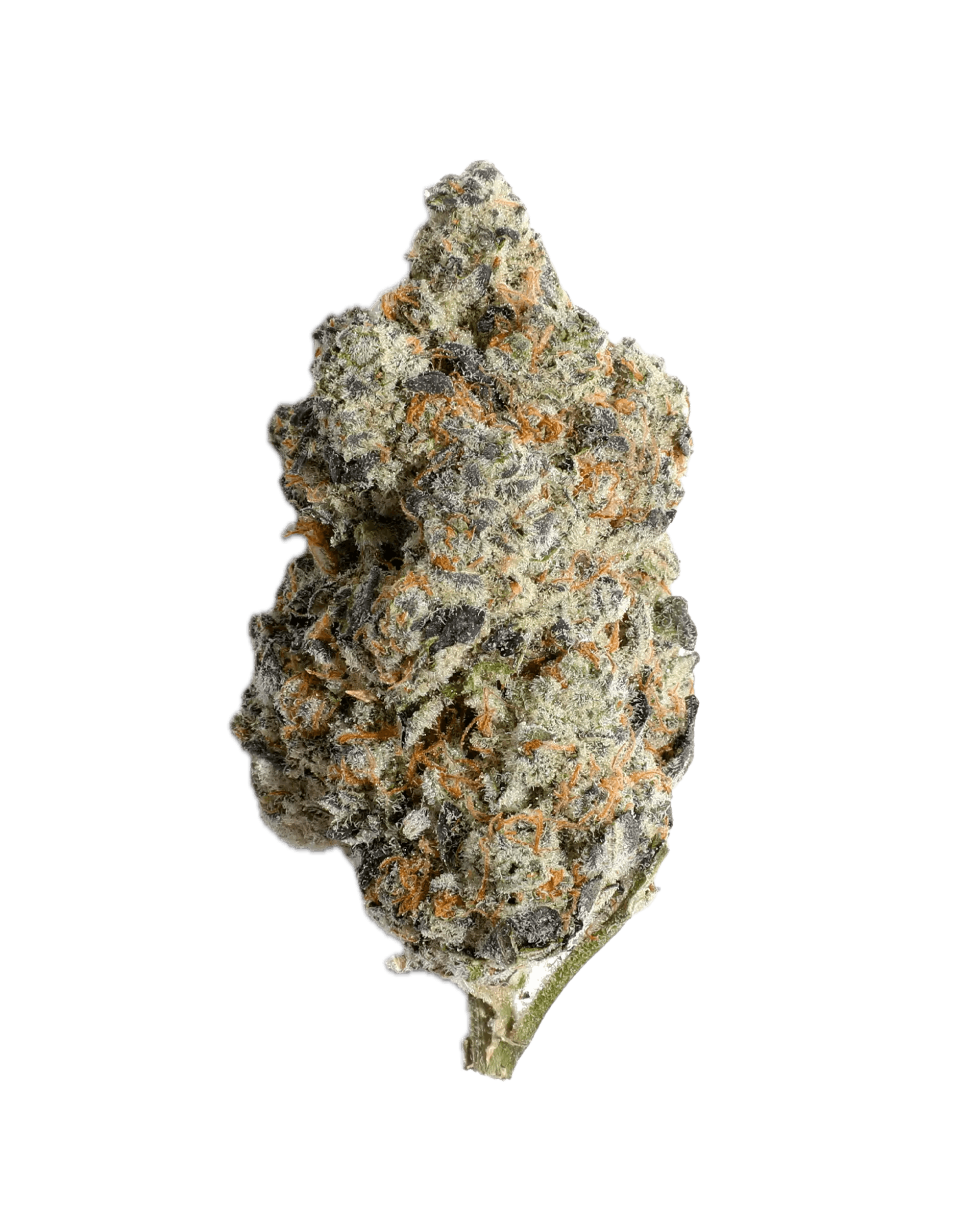 ROCK’NPOP Claravita Rocket Pop Pre-Roll - Green Gold Group Dispensary
