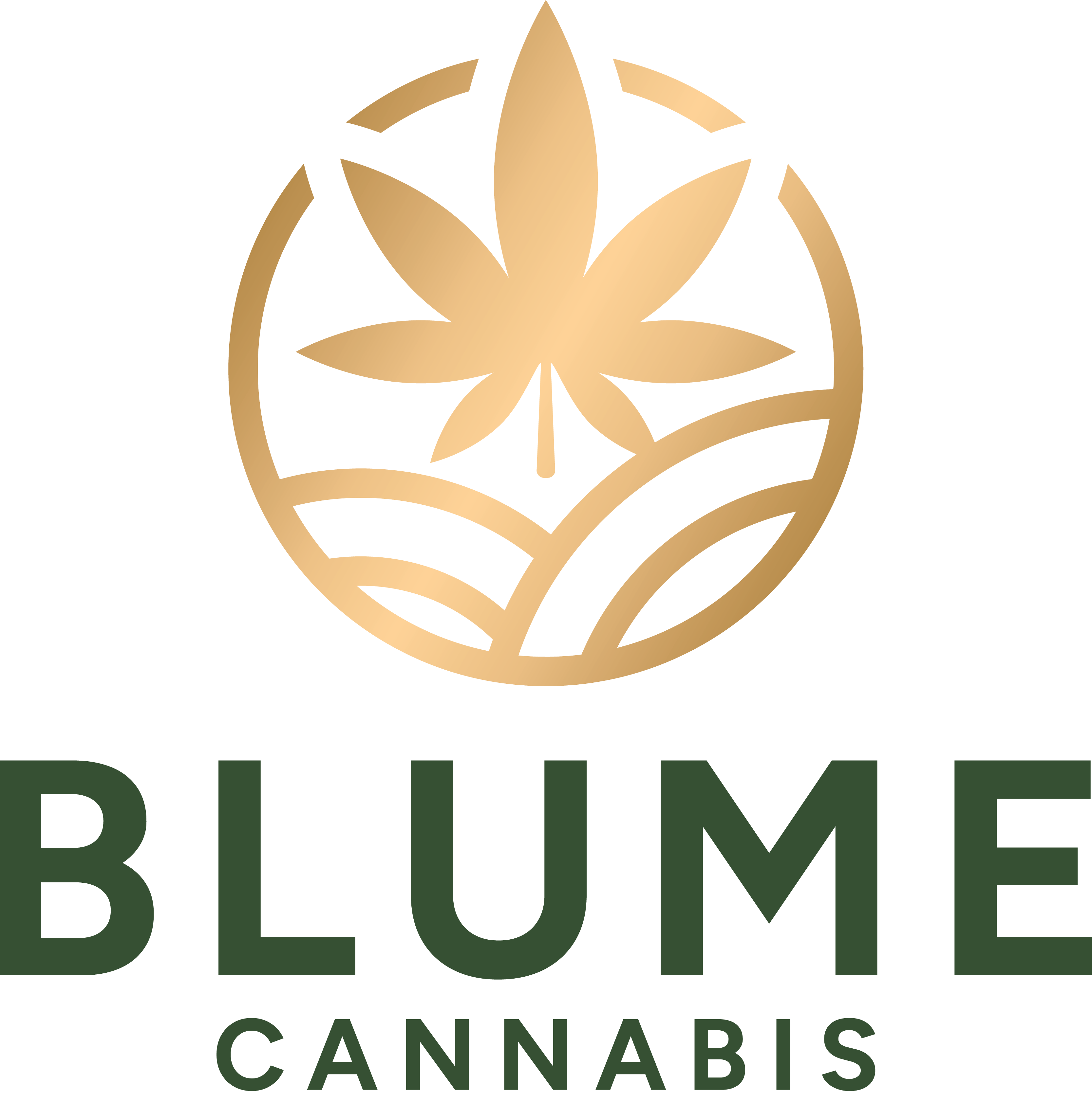 Sherb Icee - Hand Roll Hybrid by Blume – Pre-Rolls at Gatsby Cannabis