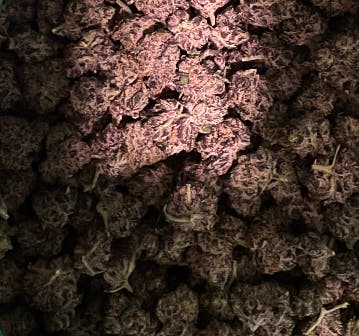 Product: B40 | Pleasantrees