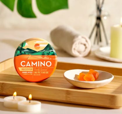 邦楽 climbgrow EL-CAMINO 2022 El Camino | Old Creek Ranch Winery