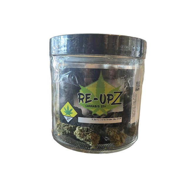 Re-Upz - Trixx - 28g / S