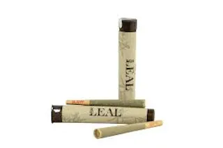 LEAL | FORTUNE COOKIE | 1 GRAM PRE-ROLL