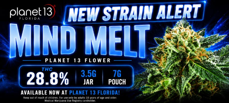 Planet 13 Florida New Strain Alert: Mind Melt Flower. THC 28.8%, 3.5G Jar, 7G Pouch. Available now at Planet 13 Florida!