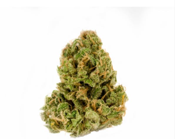 Product: Godzilla Glue | Michigan Aspire