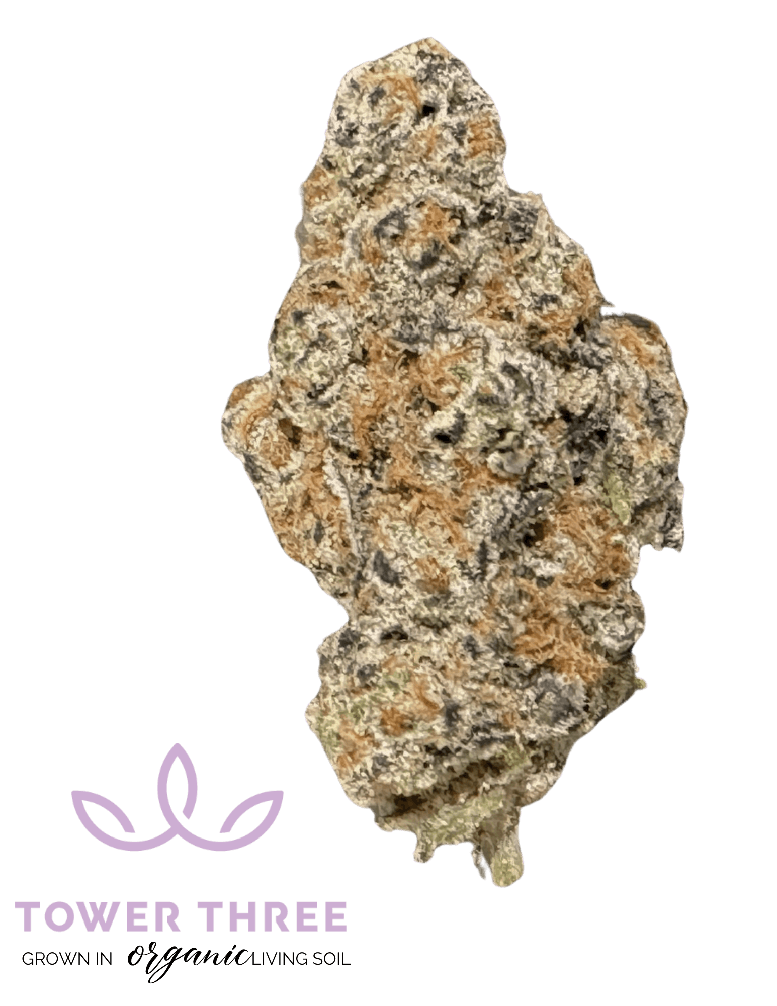 Photo of Glitter Bomb 3.5g Tower Three