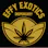 dispensary logo