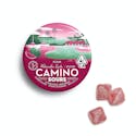 Sour Watermelon Spritz (S) - 20pk 100mg - Camino - Thumbnail 2